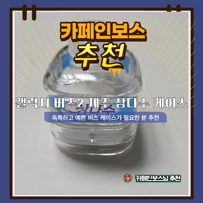 갤럭시 버즈2 제주 삼다수 케이스, 만족도 100% 실사용 리뷰