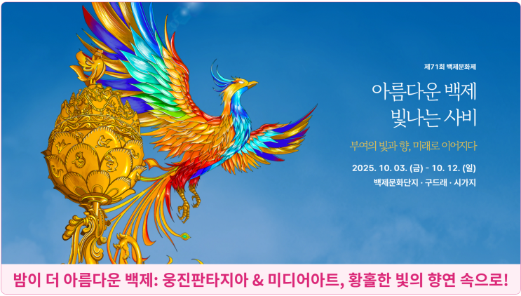  밤이 더 아름다운 백제: 웅진판타지아 & 미디어아트, 황홀한 빛의 향연 속으로!
