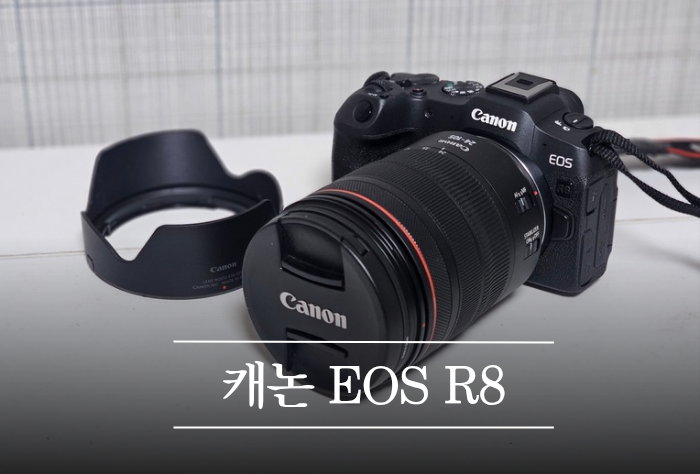 캐논 EOS R8 가성비 풀 프레임 미러리스 솔직 리뷰