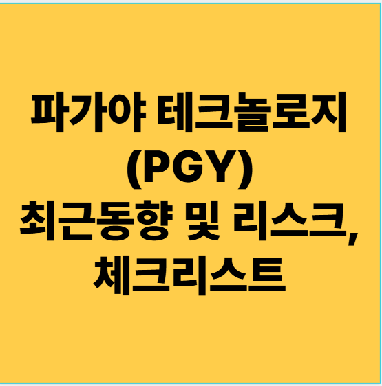  파가야 테크놀로지(PGY) 미국주식 최근동향 및 리스크, 체크리스트 251008
