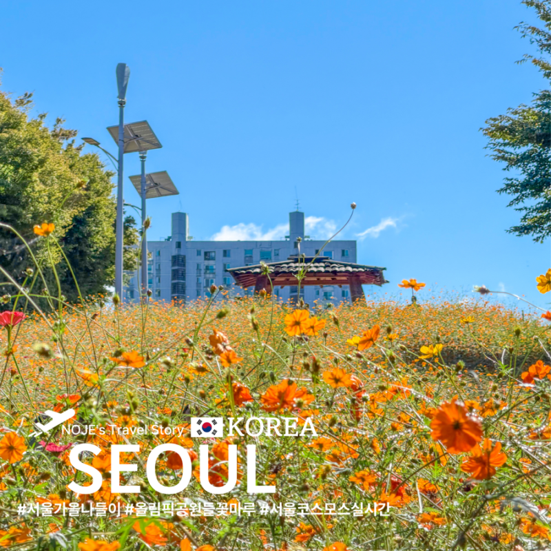 10월 서울 가을 나들이 코스 추천 올림픽공원 들꽃마루 코스모스