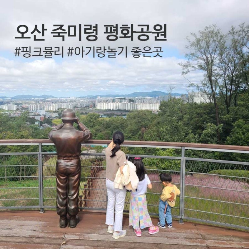 사진 7