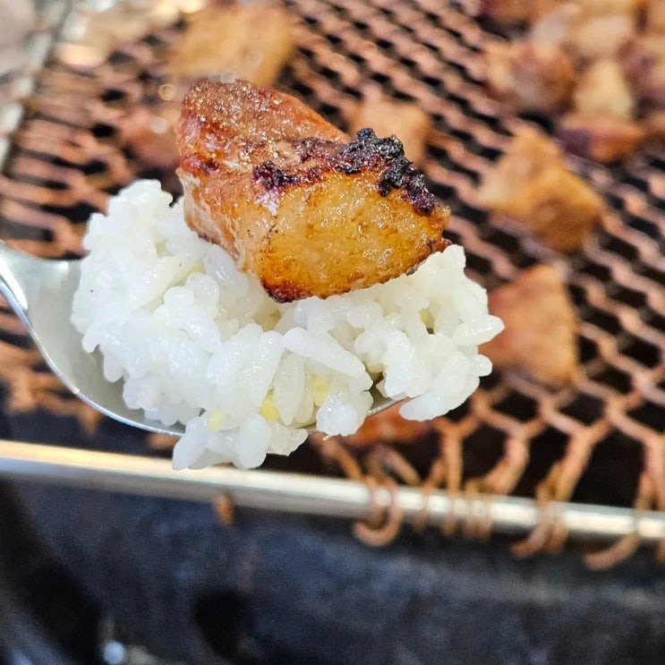  포항 영일대 고기집 20년 숯불갈비 맛집 한돈만 사용하는 양촌리1972