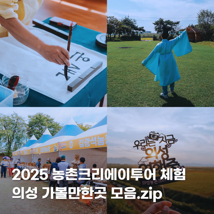  경북 의성 가볼만한곳 8곳 농촌체험 의성마늘축제