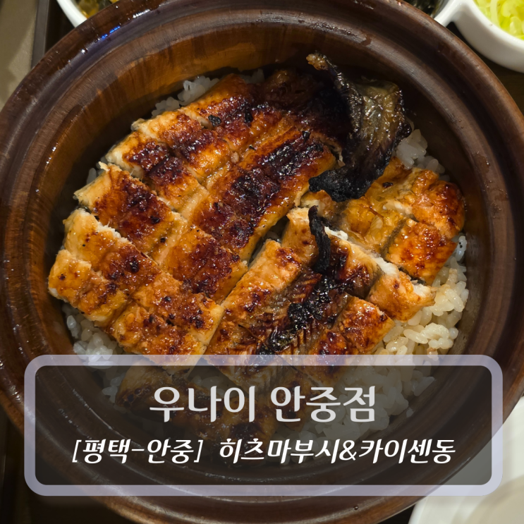  평택 안중 맛집 :: 우나이 안중점 - 히츠마부시 카이센동 후기