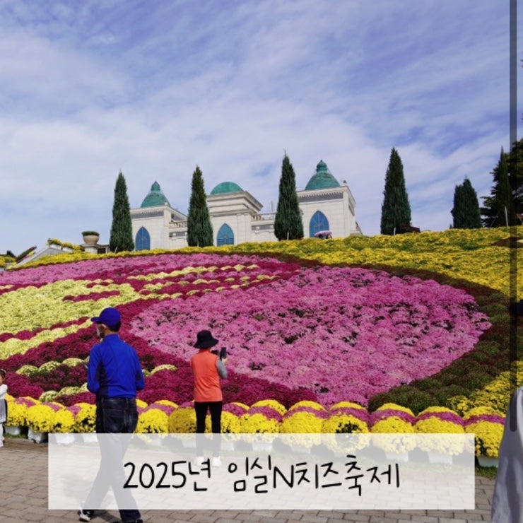 사진 6