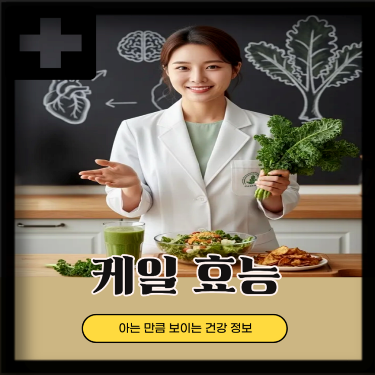  10대건강식품 케일 효능 부작용, 케일주스 효능