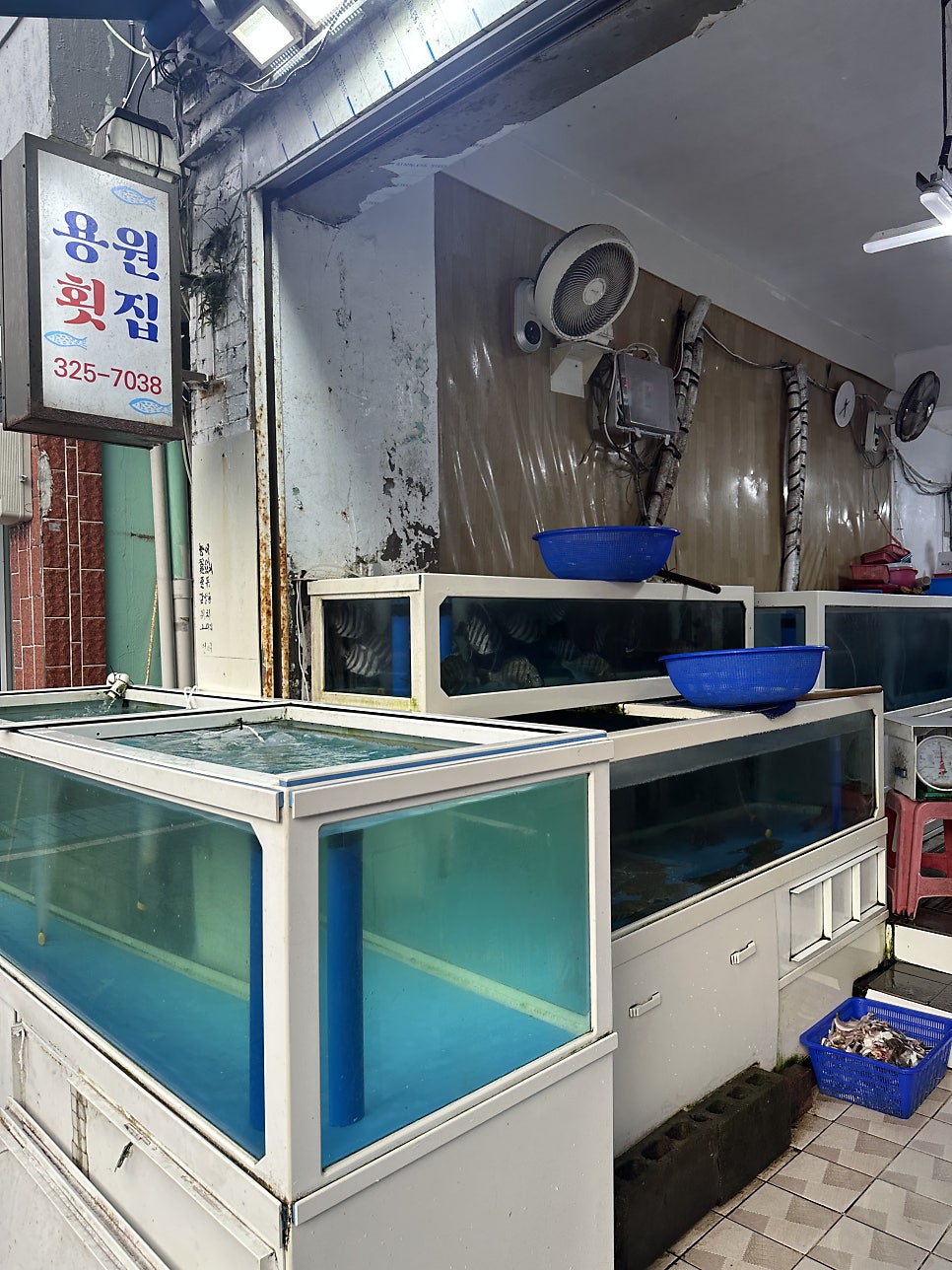 용원횟집 사진 4