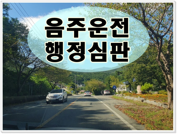  부산 음주운전 행정심판 청구 늦지 않도록