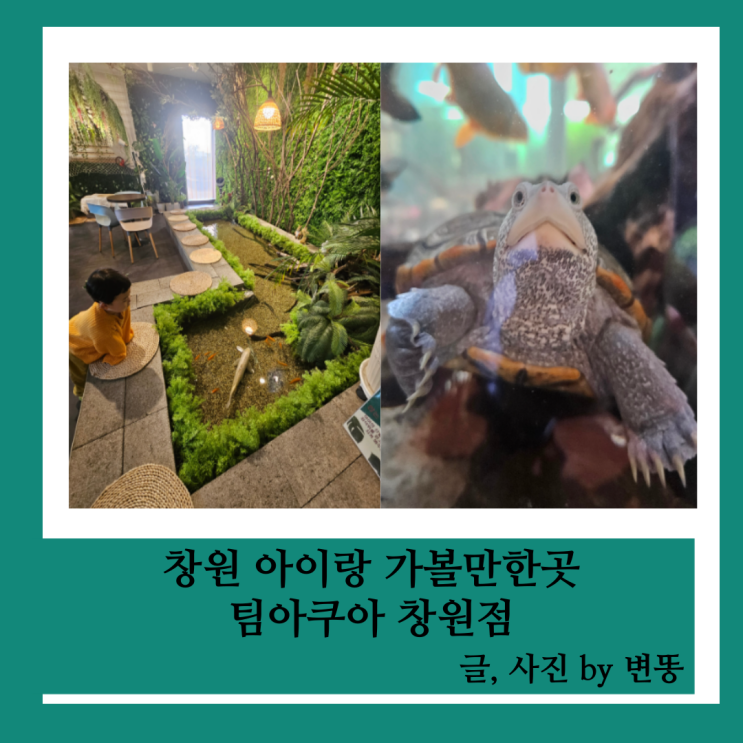  창원 아이랑 가볼만한곳, 창원 수족관 카페: 팀아쿠아 창원점