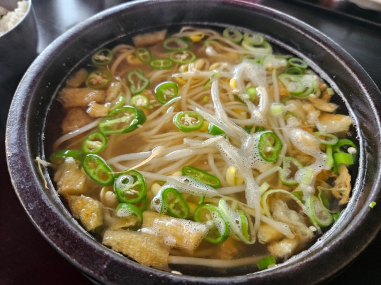  전주 콩나물국밥 맛집 추천  복어 육수가 특별한 채우미, 벌나무+감초 물 꿀 조합!