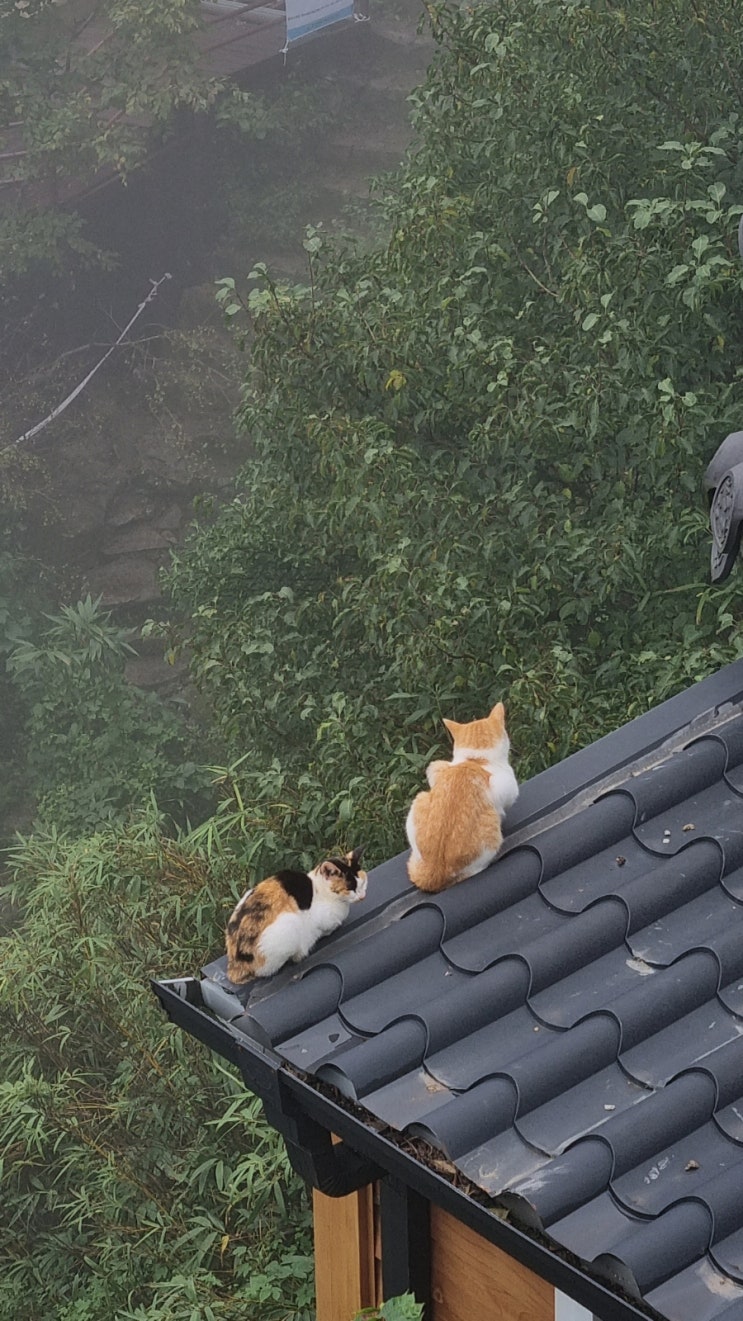 [일상] 즐거운 추석 연휴 보내기(무드165, 카페눈치, 친척, 남해 보리암, 독일마을, 파독 전시관)