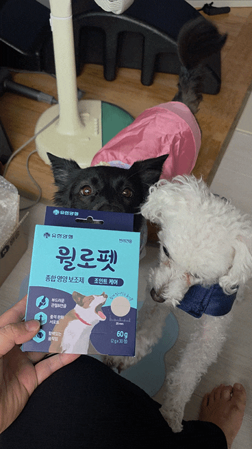  반려견영양제, 유한양행 윌로펫 조인트케어