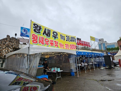 청해