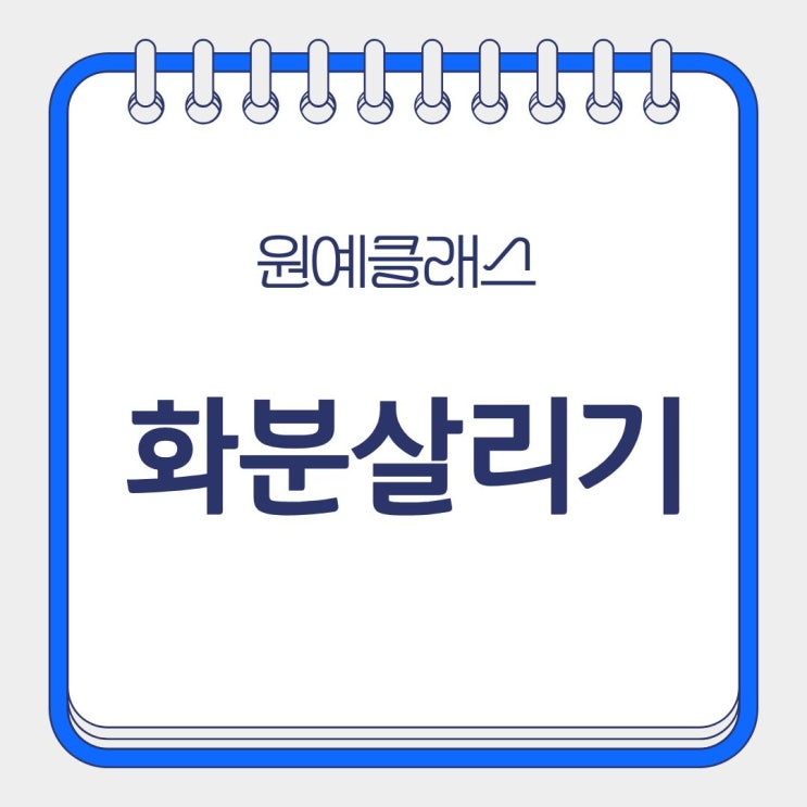  화분 살리기 죽은 화분 살리는 법