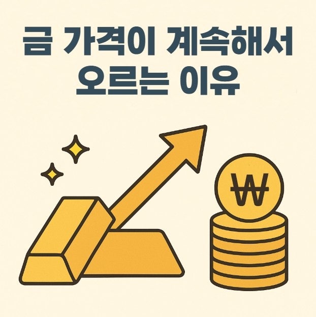  금 가격이 계속해서 오르는 이유(Ft. 세계 금값과의 차이)