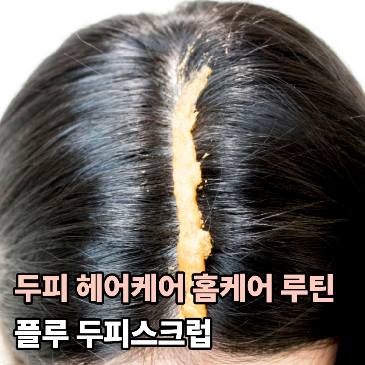  두피 홈케어 코스트코 추천템 플루 두피스크럽
