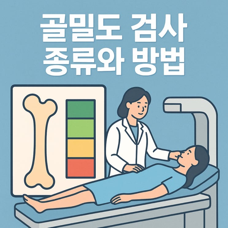  골밀도 검사 종류와 방법 완벽 가이드! 뼈 건강 체크의 첫걸음