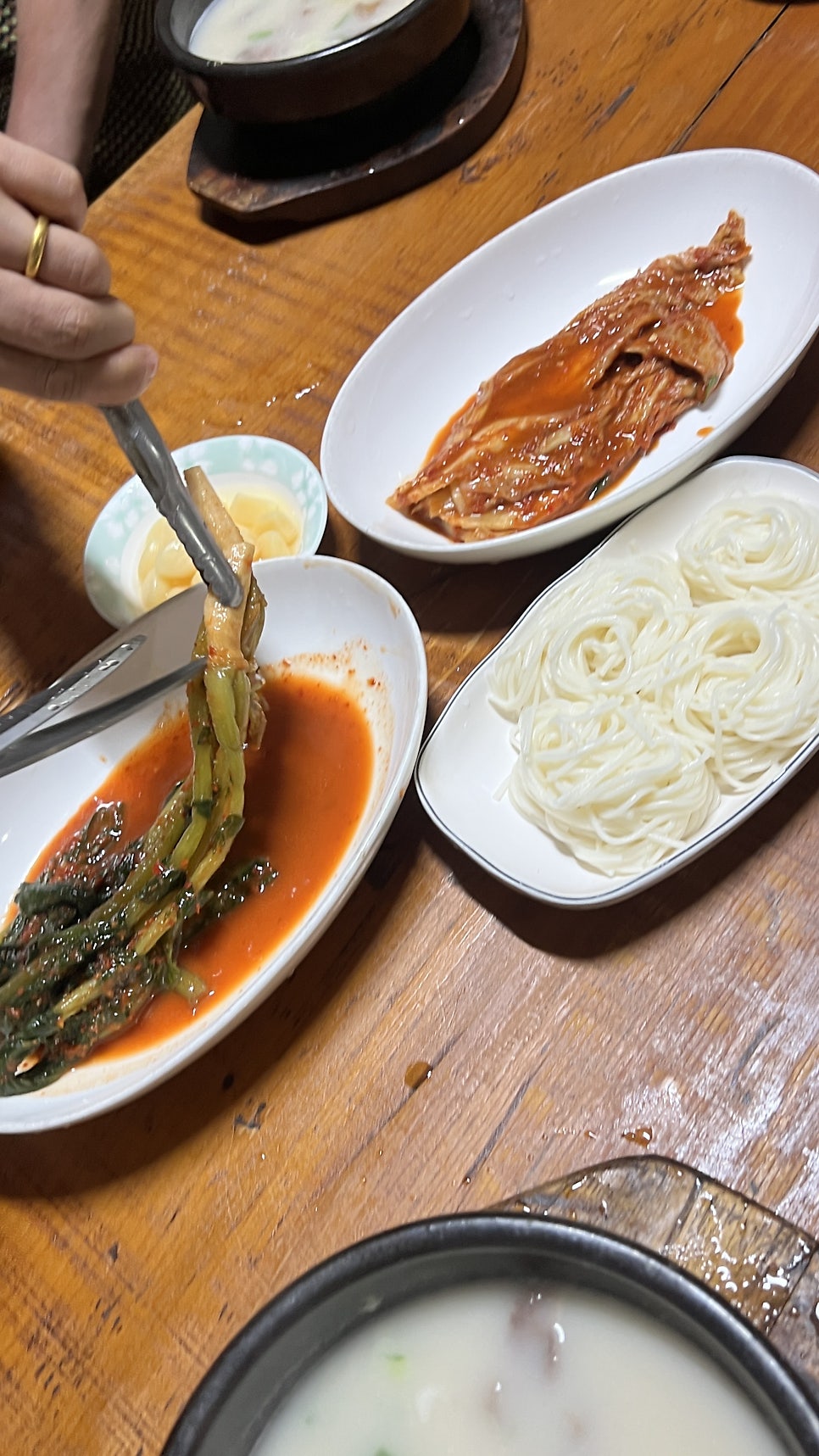 물레야 사진 4