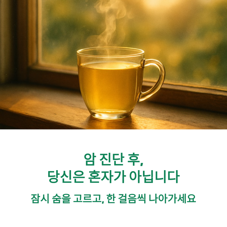  림프종 최종 진단, 암 진단 후 마음 관리가 막막할 때 가장 먼저 해야 할 3가지