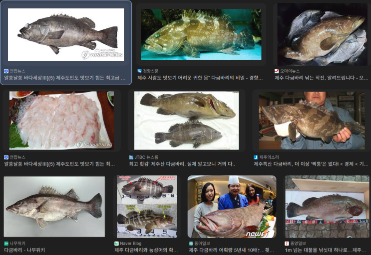 윤석열 <b>김건희</b> <b>선상파티</b>, <b>해군</b> 함정 다금바리 공수 의혹
