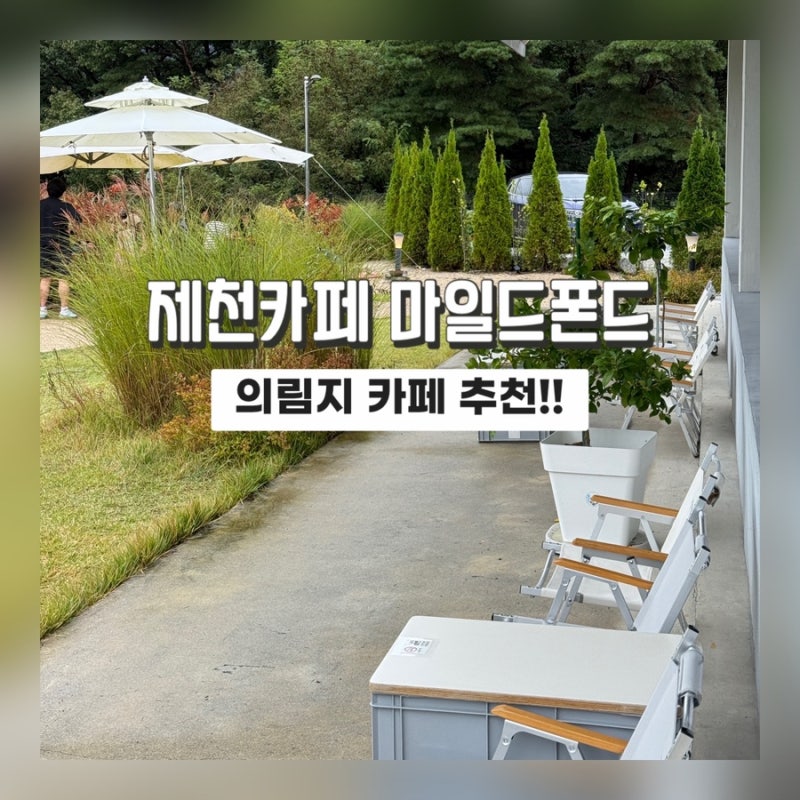 사진 3
