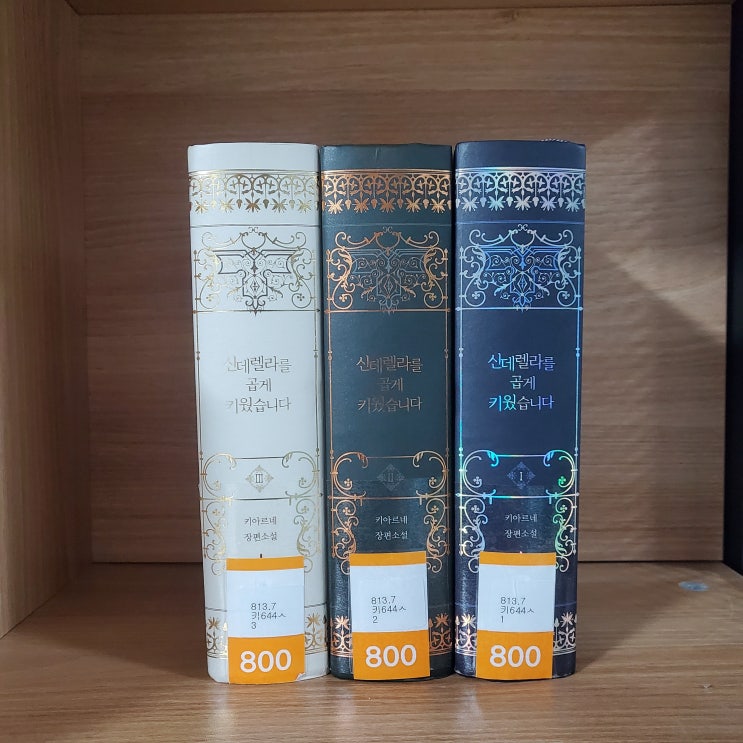  키아르네 작가님 『신데렐라를 곱게 키웠습니다』 도서 리뷰_세 딸을 품은 ‘계모’의 이야기, 그 안에 담긴 성장과 사랑