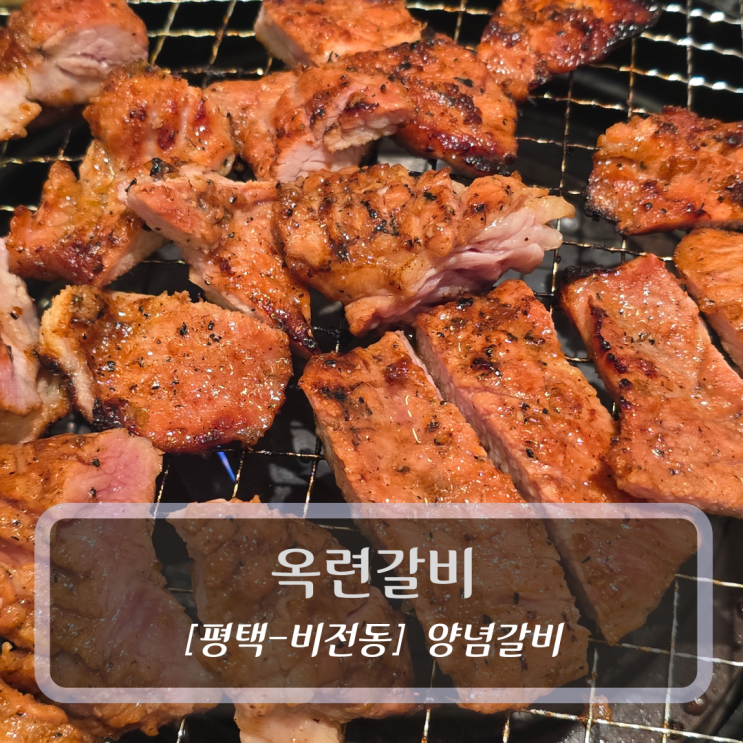  평택 돼지갈비 맛집 :: 옥련갈비 - 양념돼지갈비 후기