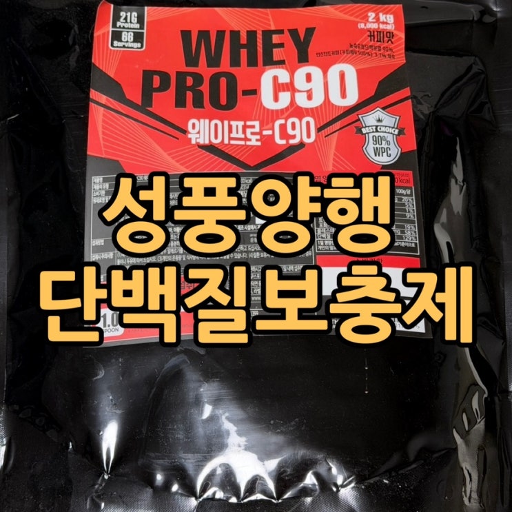  성풍양행 WPC 단백질 보충제 웨이프로 C90 내돈내산 솔직 후기 | 가성비·맛·성분 분석