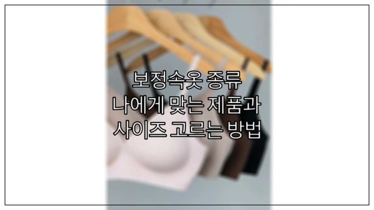 보정속옷 종류, 나에게 맞는 제품과 사이즈 고르는 방법
