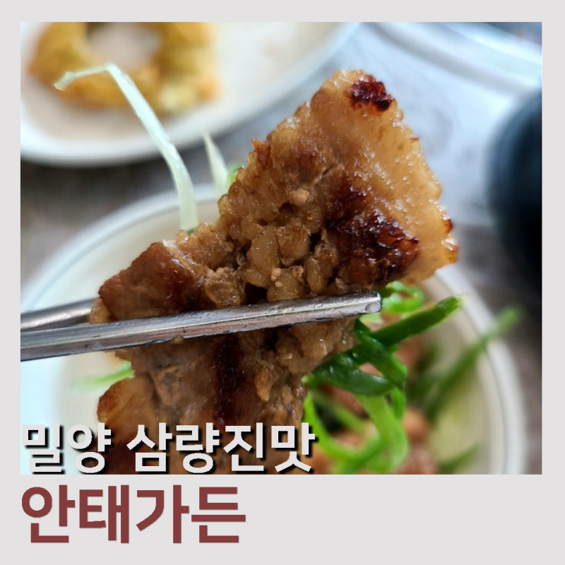 사진 3