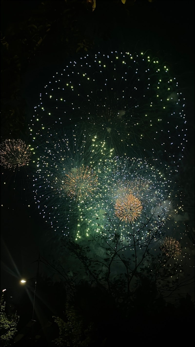 2025 서울세계불꽃축제 이촌한강공원 후기 2026 서울세계불꽃축제 여의도 불꽃축제 명당 추천