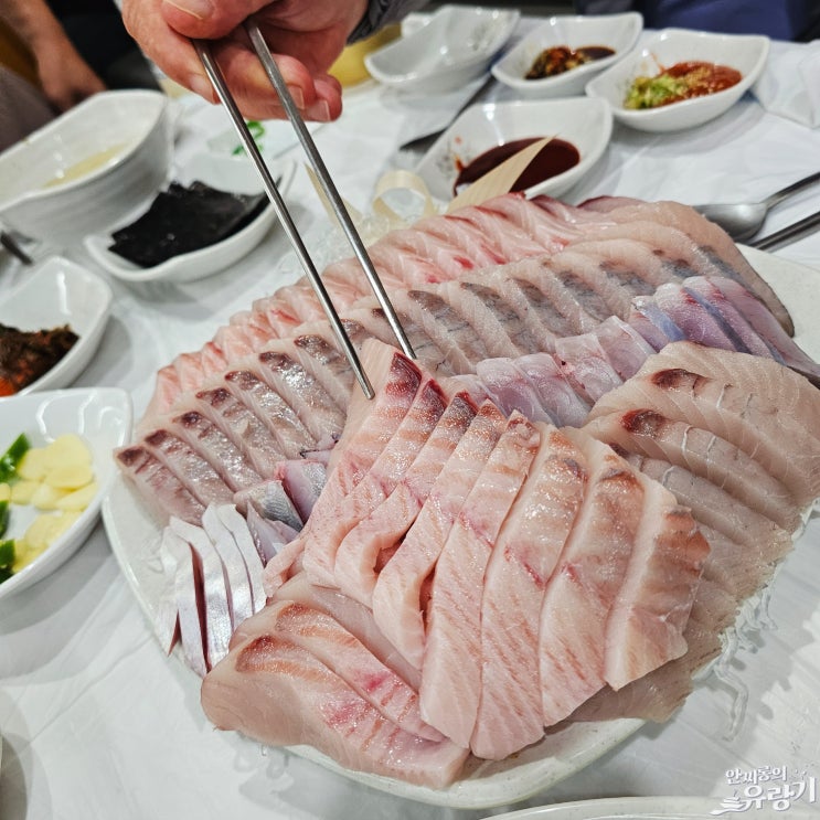  여수 조일식당 삼치회 제철 여수의 맛 선어회 먹는법