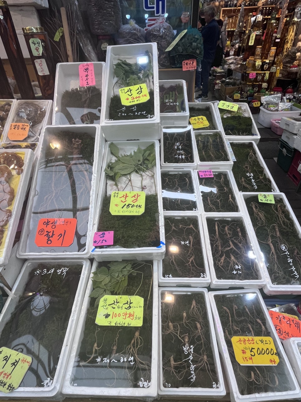 모마루 사진 5