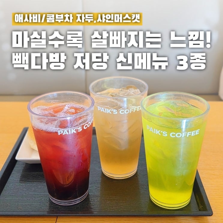  마실수록 살빠진다는 빽다방 신메뉴 애사비 콤부차 리뷰