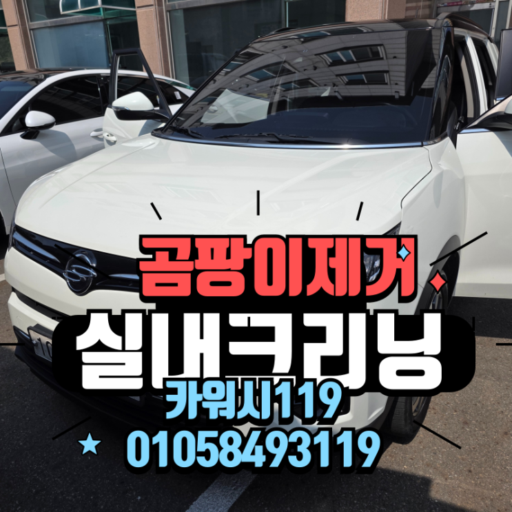  시흥실내세차 전문가의 자동차 곰팡이 제거! 완벽 실내크리닝 후