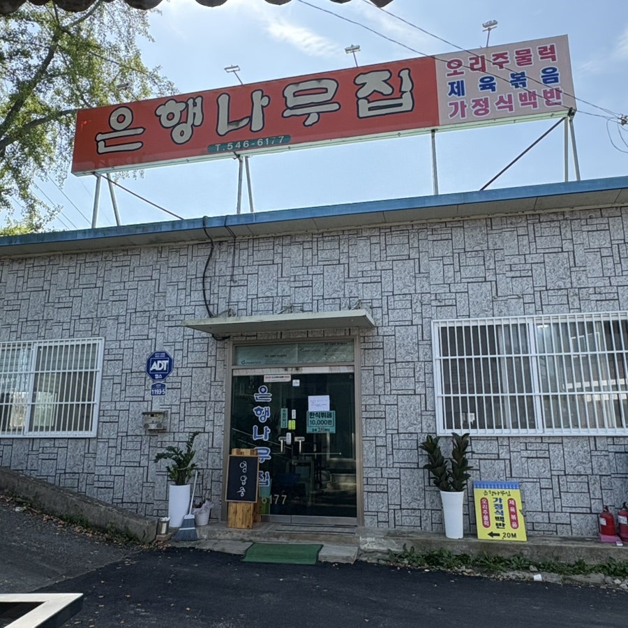 은행나무집 사진 1