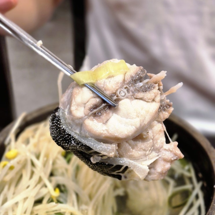  포스코사거리 맛집 대치동 낮술 해장 추천 금수복국