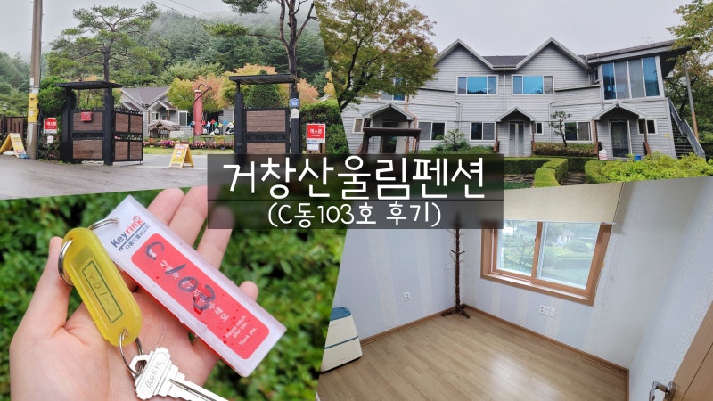 사진 2