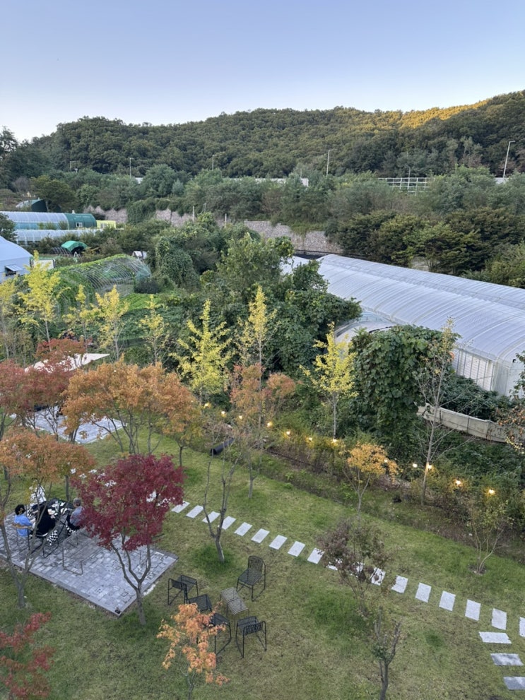  서울근교카페 분당 신상 뷰 예쁜 카페 단풍