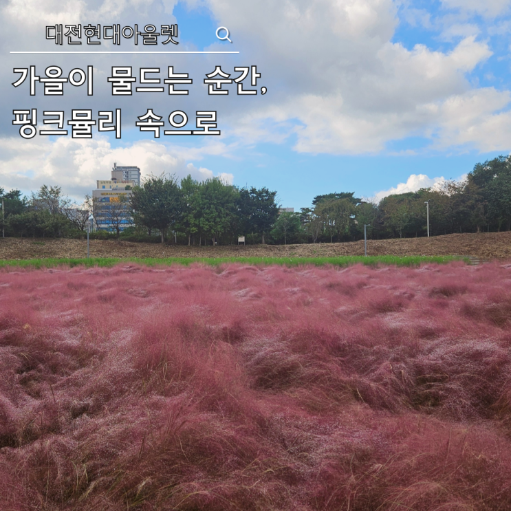  대전 현대 아울렛 핑크뮬리 핫플! 위치, 주차 꿀팁 & 인생샷 명당 총정리 (가을 데이트 코스)