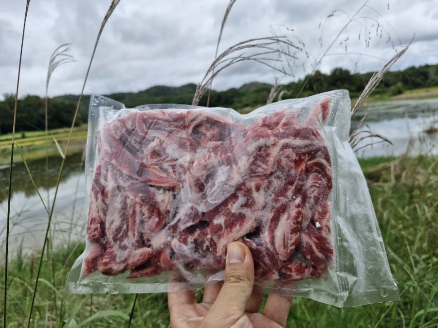 도야제 사진 6