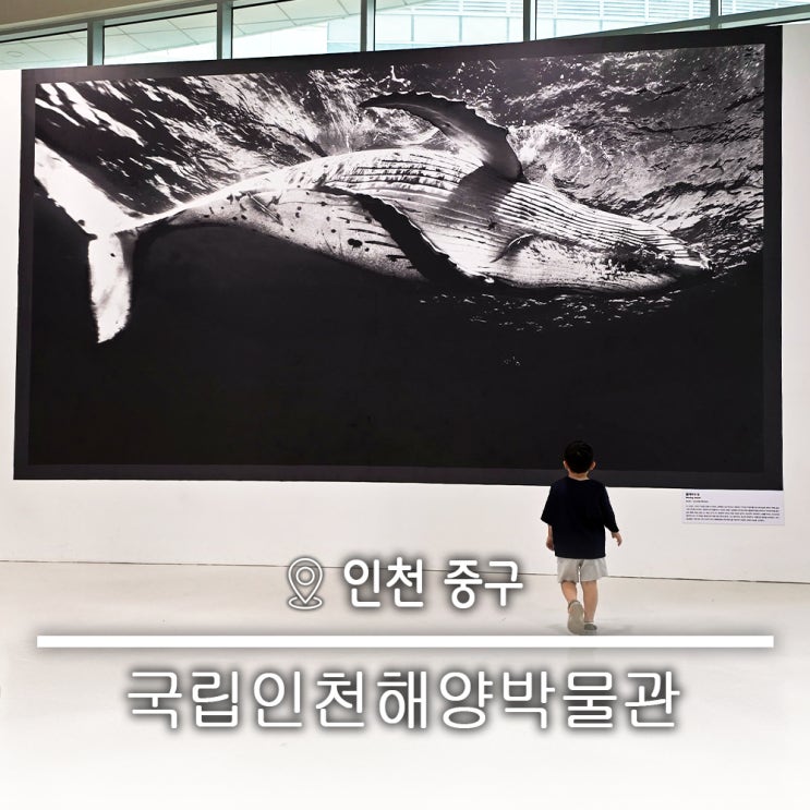  월미도 아이와함께 하는 바다의날 30주년 기념 테마전시 고래 안의 고래  국립 인천해양박물관