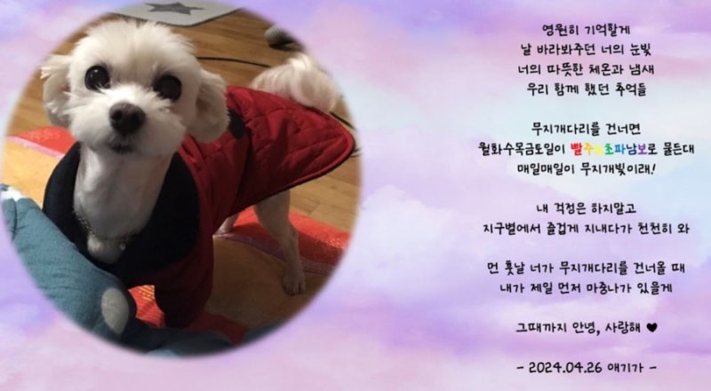 인생 노래 추천 • 잔잔한 발라드 • 애견인을 위한 노래 • 가사 좋은 노래 • 폴킴 • 김나....