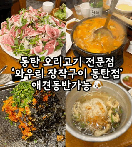  동탄 부모님 모시고가기 좋은 식당 '와우리 장작구이 동탄점' | 애견동반 가능