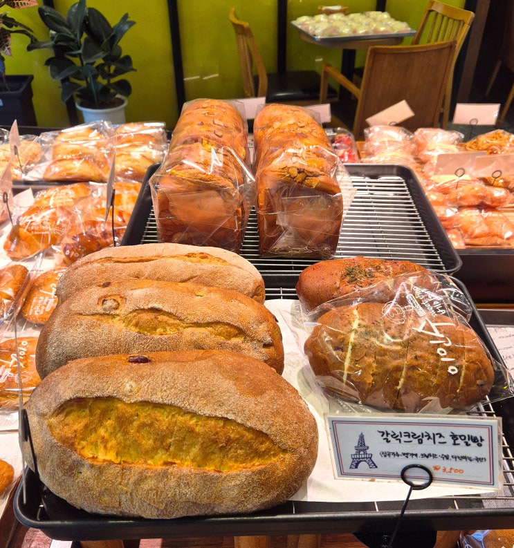  전남 순천역 '이인수 과자점' 순천 3대 빵집! 착한가격 맛있는 순천빵집, 빵 종류/가격