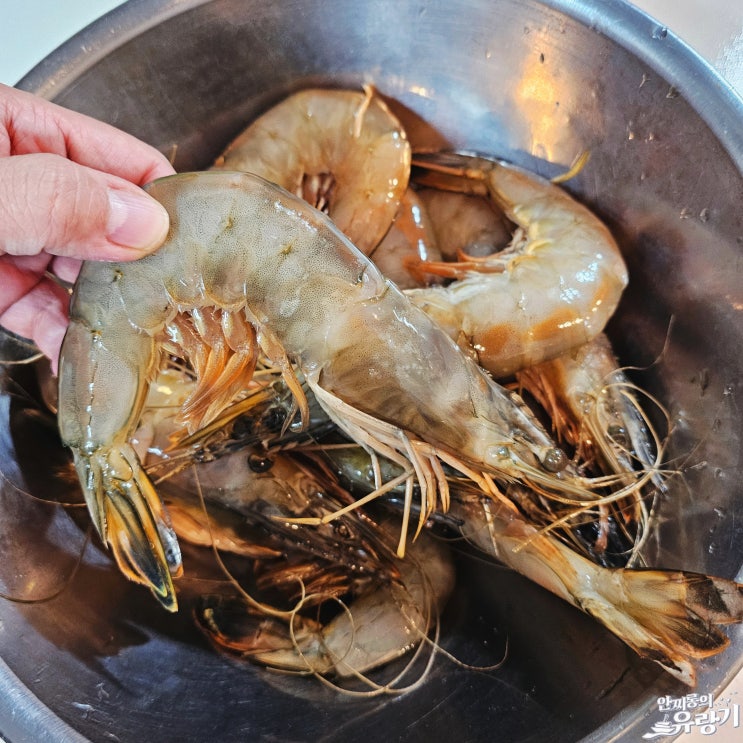  10월제철해산물 자연산 대하 철 들어봤나 홍대 새우 집에서 대하구이