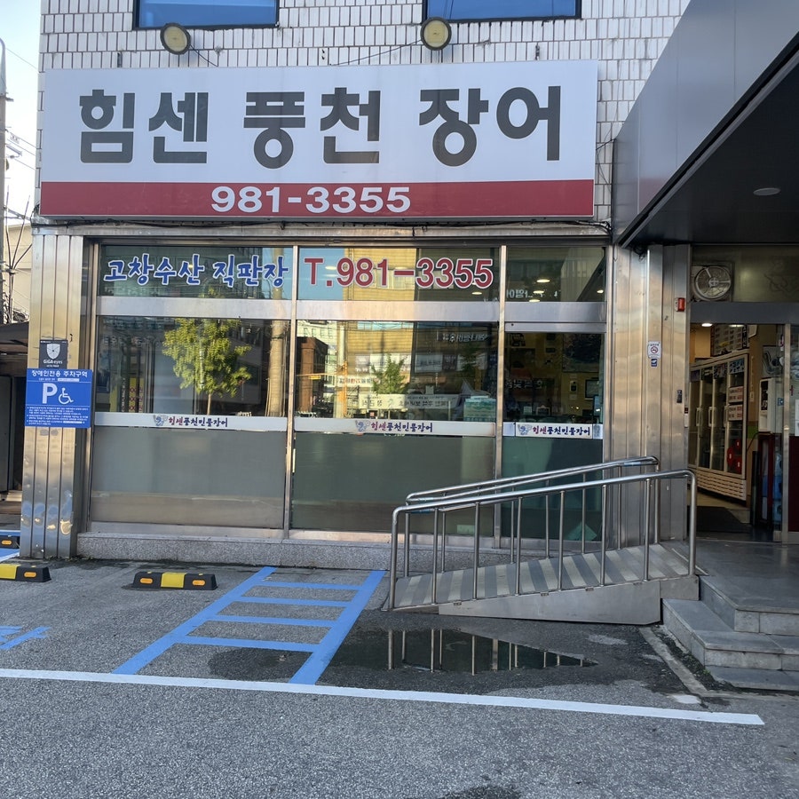 힘센풍천민물장어 사진 1