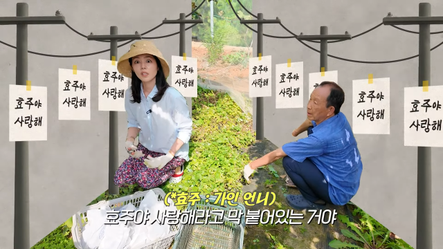 <b>한가인</b> 친<b>언니</b>, '효주야 <b>사랑</b>해' 전봇대 고백!! 형부의 '역대급... 