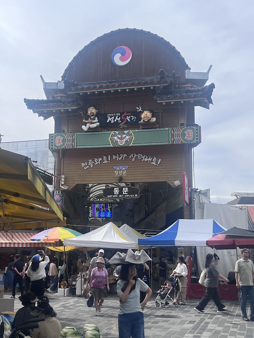 모마루 사진 3
